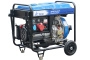 Дизель генератор TSS SDG 7000EH3A